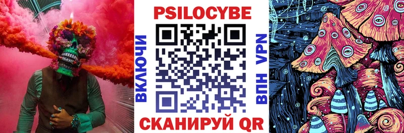 Купить  Суворов  Галлюциногенные грибы мухоморы 